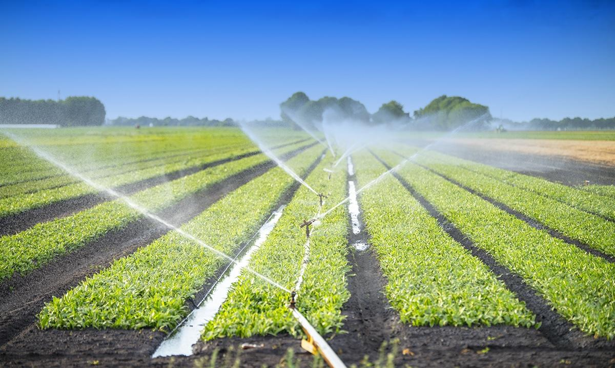 Irrigation system